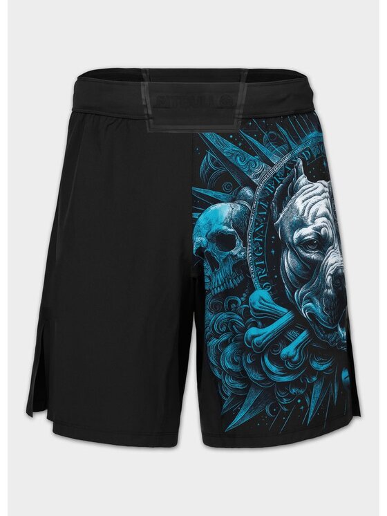 PITBULL PITBULL Szorty sportowe PITBULL WORLD Czarny Regular Fit