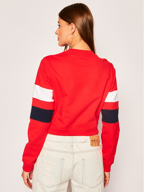 Champion stripe clearance cropped sweatshirt