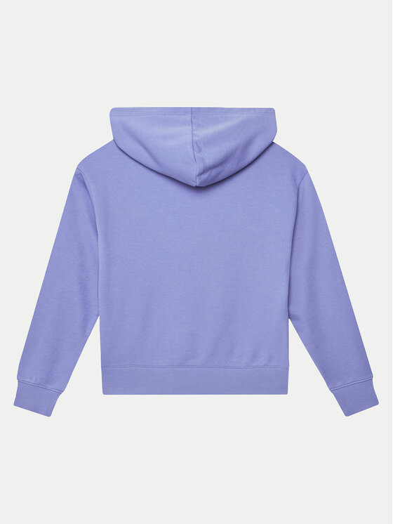Champion Champion Sweatshirt 405076 Violett Standard Fit