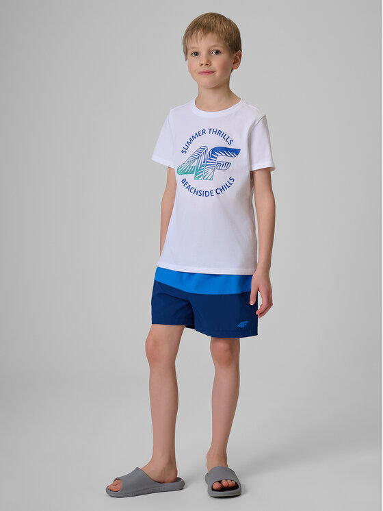 4F 4F Szorty sportowe BEACHSIDE CHILL Granatowy Board Fit