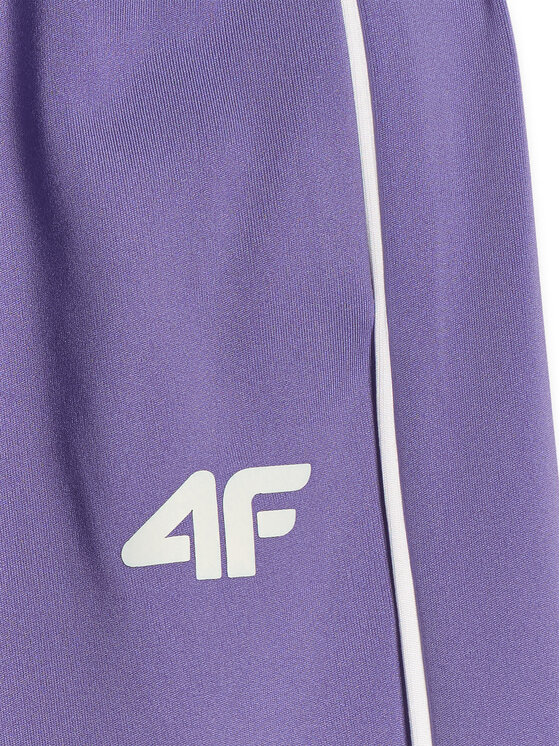 4F 4F Spodnie dresowe AQUA FORCE Fioletowy Regular Fit