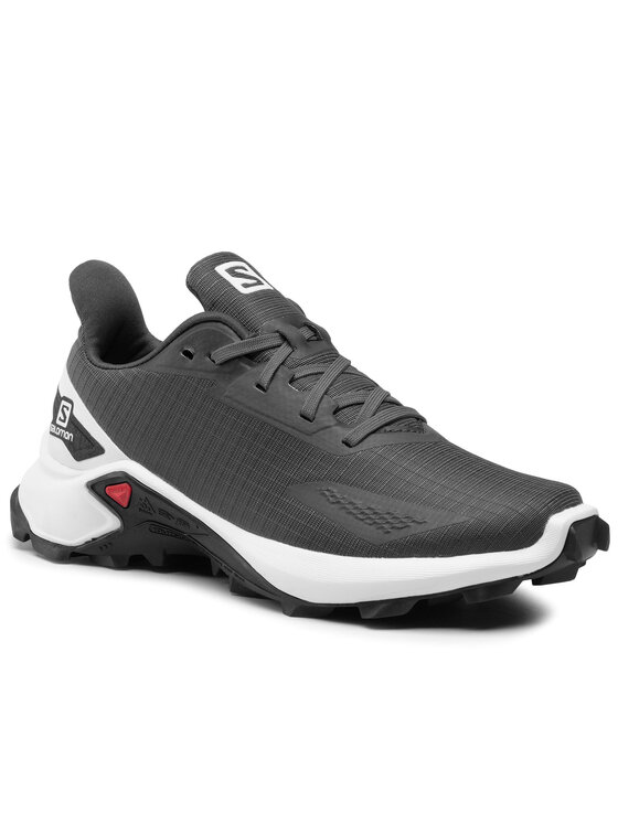 Salomon Salomon Tekaški čevlji Alphacross Blast W 411038 21 V0 Siva