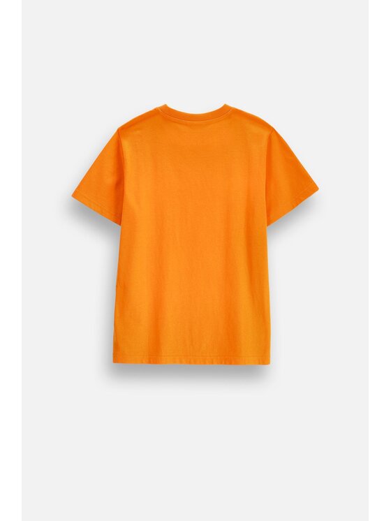 Coccodrillo Coccodrillo T-Shirt ZC6143201VUA-006 Pomarańczowy Regular Fit