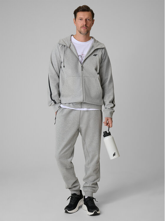 4F 4F Spodnie dresowe COMMERCIAL 12 Szary jasny Regular Fit