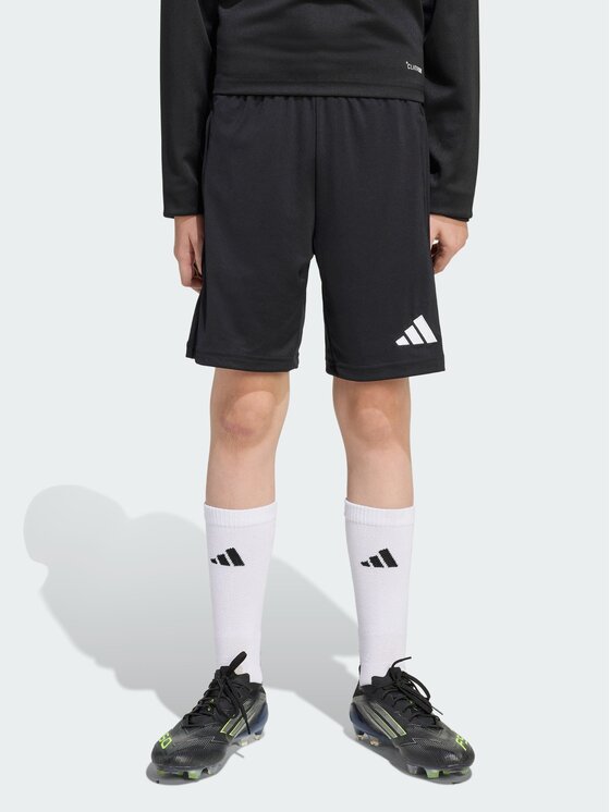 adidas adidas Športové kraťasy Entrada 26 Training JZ9131 Čierna Regular Fit