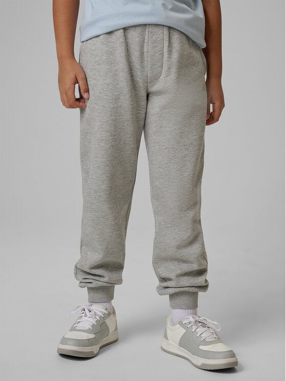 4F 4F Spodnie dresowe NOS Szary Regular Fit
