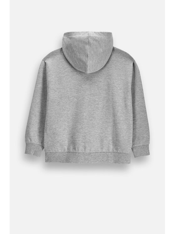 Coccodrillo Coccodrillo Mikina ZC6132401VBA-019 Sivá Regular Fit