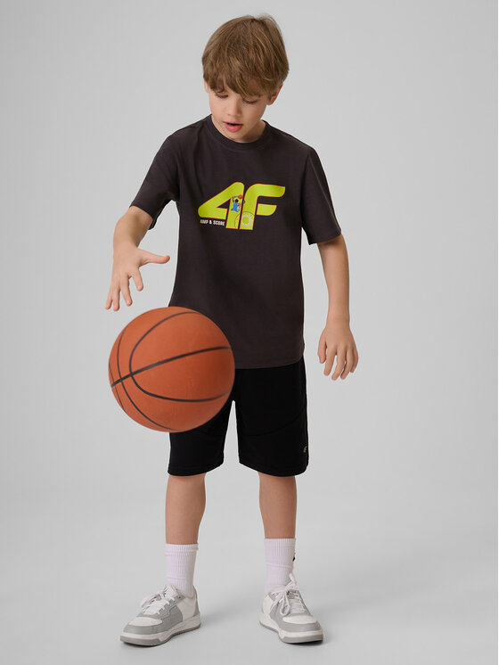 4F 4F T-Shirt WAVE RIDERS CLUB Szary ciemny Regular Fit