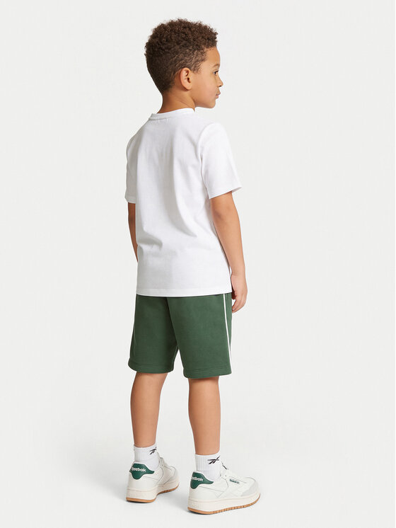 Reebok Reebok Набір футболка та шорти Blake RK95033CCB Кольоровий Regular Fit