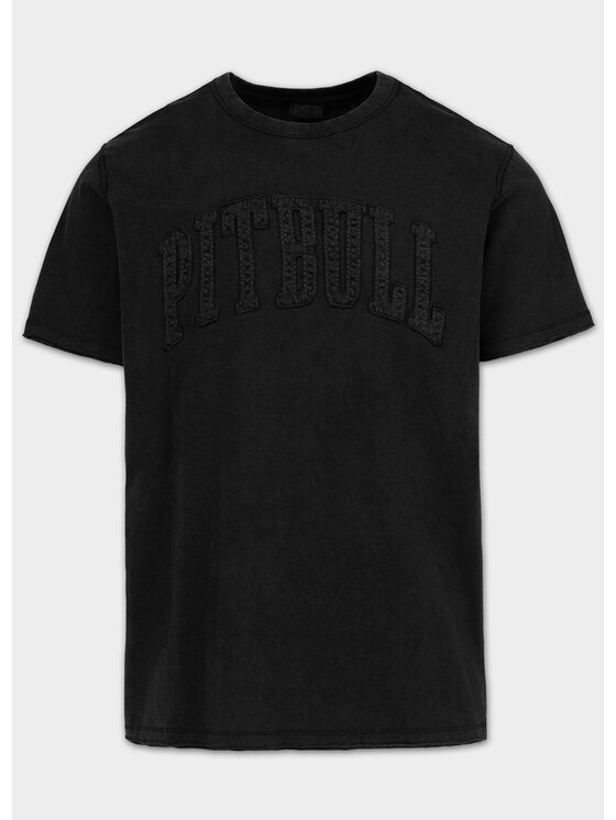 PITBULL PITBULL T-Shirt NORTON APP Szary Regular Fit