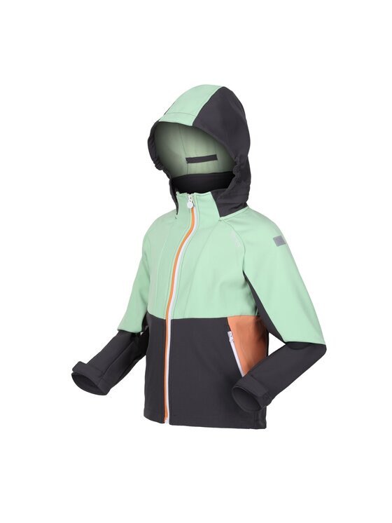 Regatta Regatta Kurtka outdoor Haydenbury Szary Long Fit