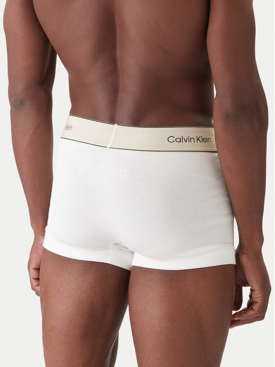 Calvin Klein Underwear Calvin Klein Underwear Bokseru komplekts LV00NB4446 Daudzkrāsains