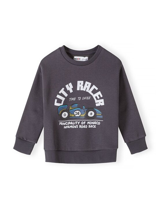 minoti minoti Bluza 33FLEECE200 Kolorowy Regular Fit