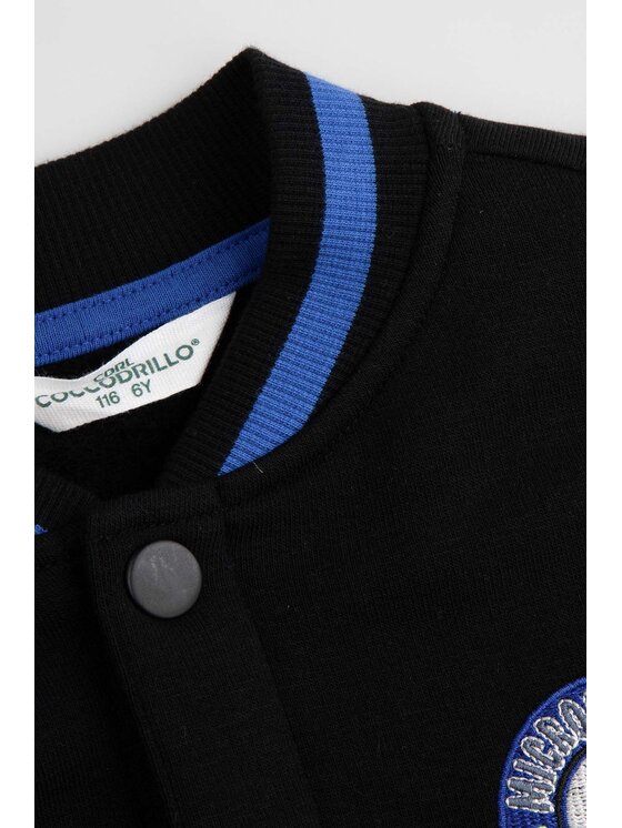 Coccodrillo Coccodrillo Mikina ZC6132601GBK-022 Farebná Regular Fit
