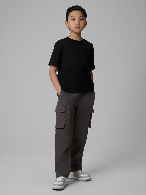4F 4F T-Shirt BASIC+ Kolorowy Regular Fit