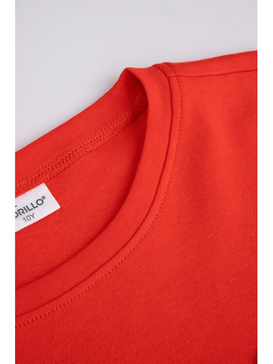Coccodrillo Coccodrillo T-Shirt ZC5143102FGJ-009 Červená Regular Fit