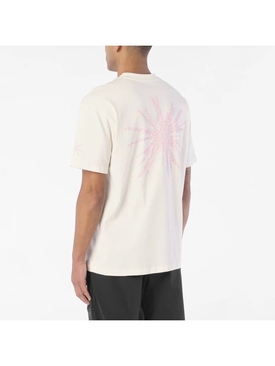 Salomon Salomon T-Shirt GRVL Relaxed SS TEE Beżowy Regular Fit