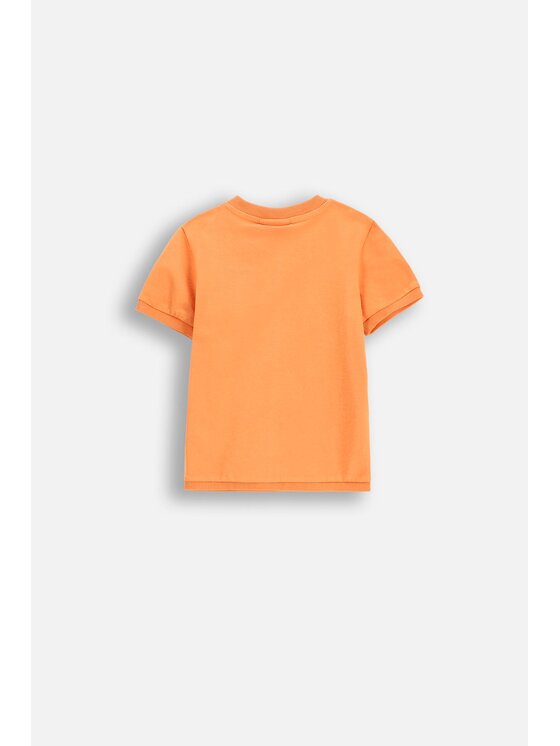 Coccodrillo Coccodrillo T-Shirt WC5143201SBN-006 Pomarańczowy Regular Fit