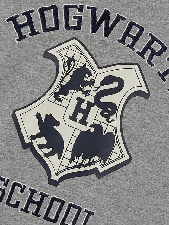 NAME IT NAME IT Суитшърт HARRY POTTER 13210593 Сив Regular Fit