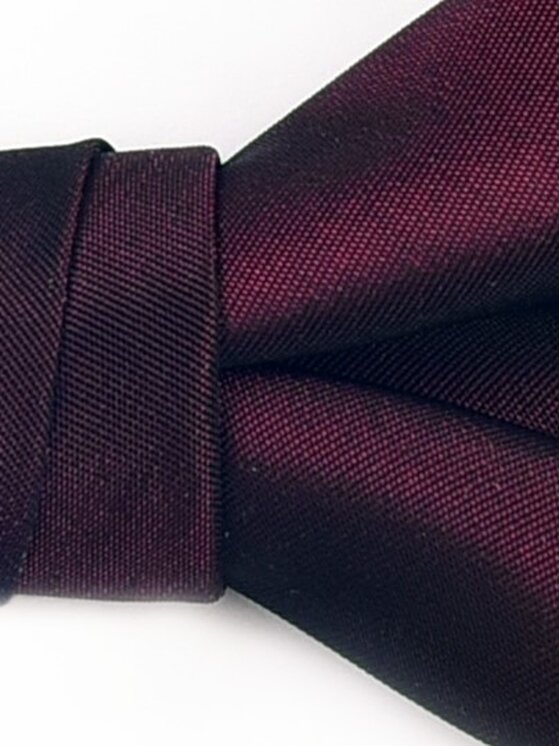 ELSNER ELSNER Παπιγιόν BUTTERFLY Z JEDWABNEGO ŻAKARDU A5395 Μπορντό