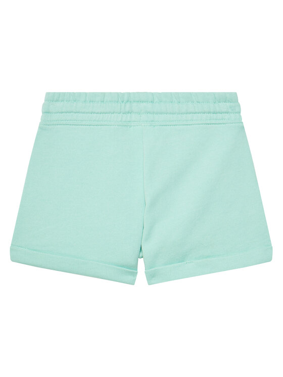 United Colors Of Benetton United Colors Of Benetton Spordišortsid 3J68C901C Roheline Regular Fit