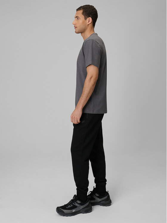 4F 4F Spodnie dresowe NOS Czarny Regular Fit