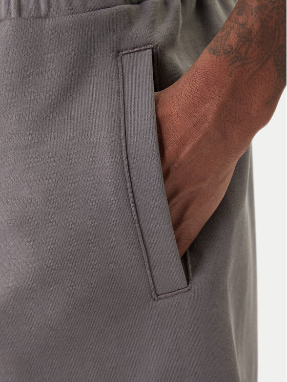 EA7 Emporio Armani EA7 Emporio Armani Sportshorts 7M001491 AF17787 U8086 Grau Regular Fit