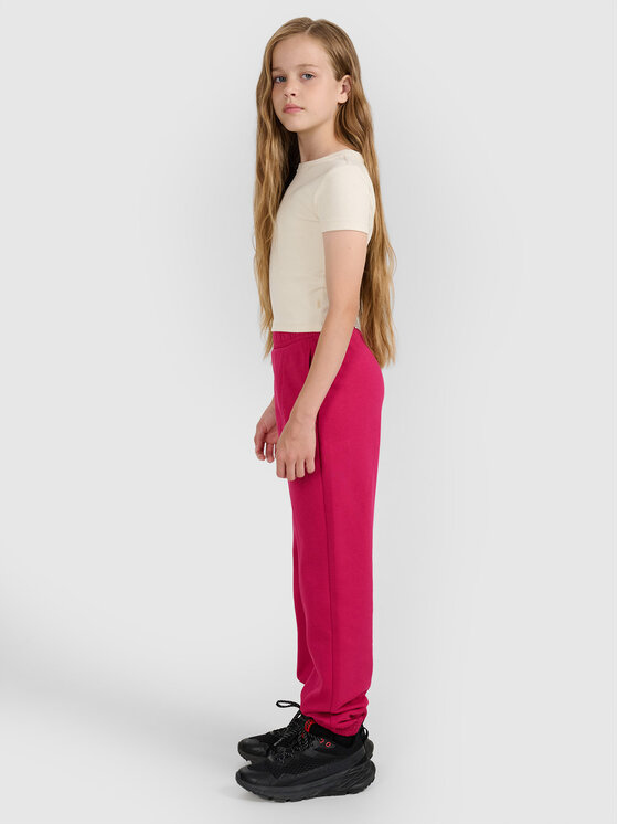 4F 4F Spodnie dresowe BASIC+ Różowy Regular Fit