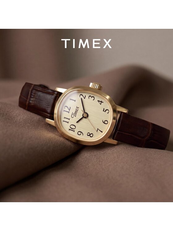 Timex Timex Hodinky TW2Y87700 Hnědá