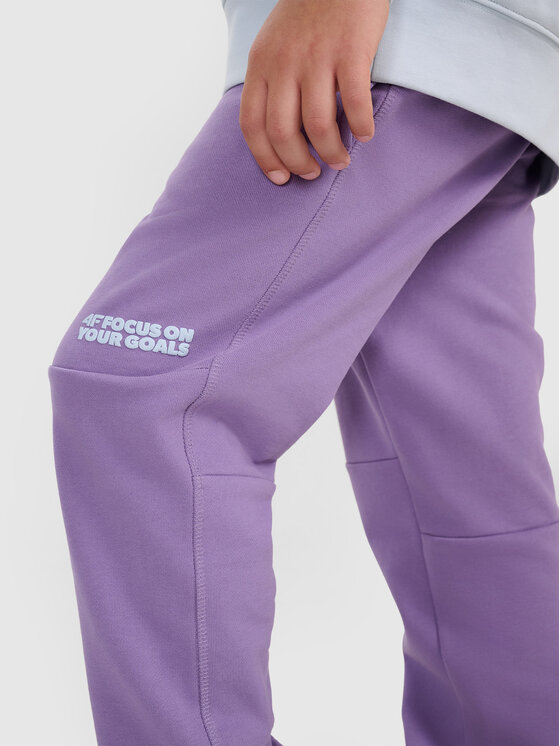 4F 4F Spodnie dresowe SELF CARE Fioletowy Regular Fit