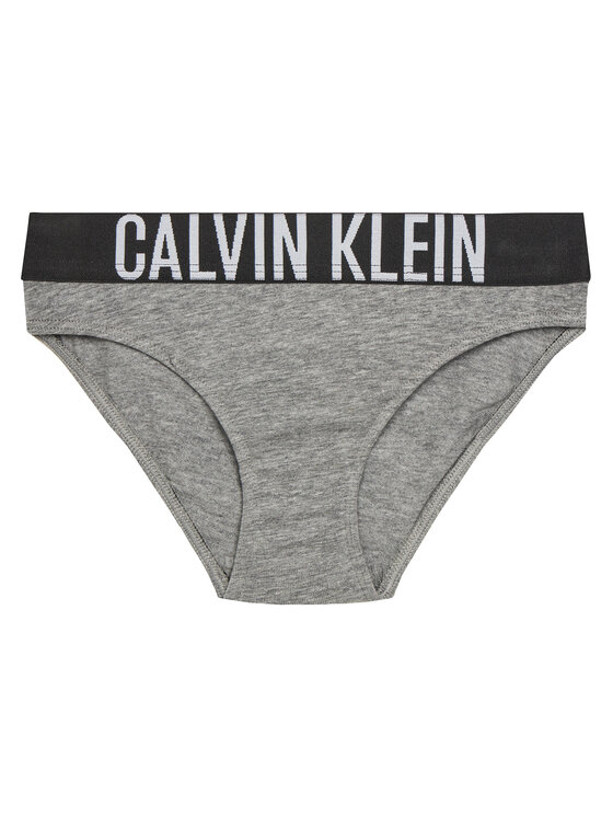 Calvin Klein Underwear Calvin Klein Underwear Komplektas: 2 kelnaičių poros G80G800729 Spalvota
