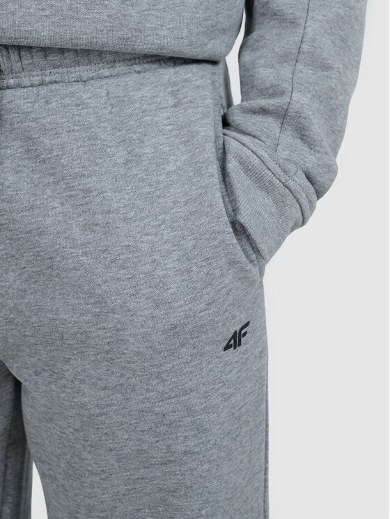 4F 4F Spodnie dresowe BASIC+ Szary Regular Fit