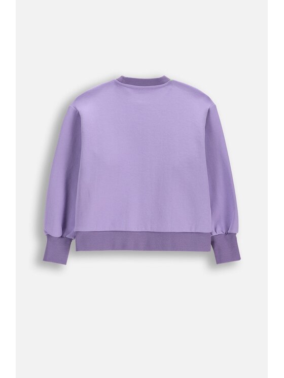 Lemon Explore Lemon Explore Bluza WL6132101ACG-016 Fioletowy Regular Fit