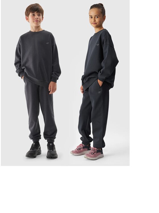 4F 4F Spodnie dresowe 4FJWAW24TTROU0920 Szary Oversize