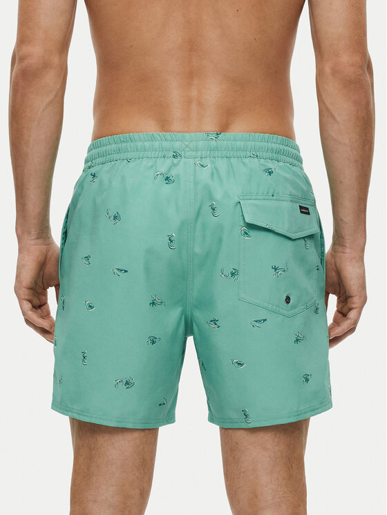 Quiksilver Quiksilver Szorty kąpielowe Stretch Printed Volley 16 EQYJV04217 Błękitny Regular Fit
