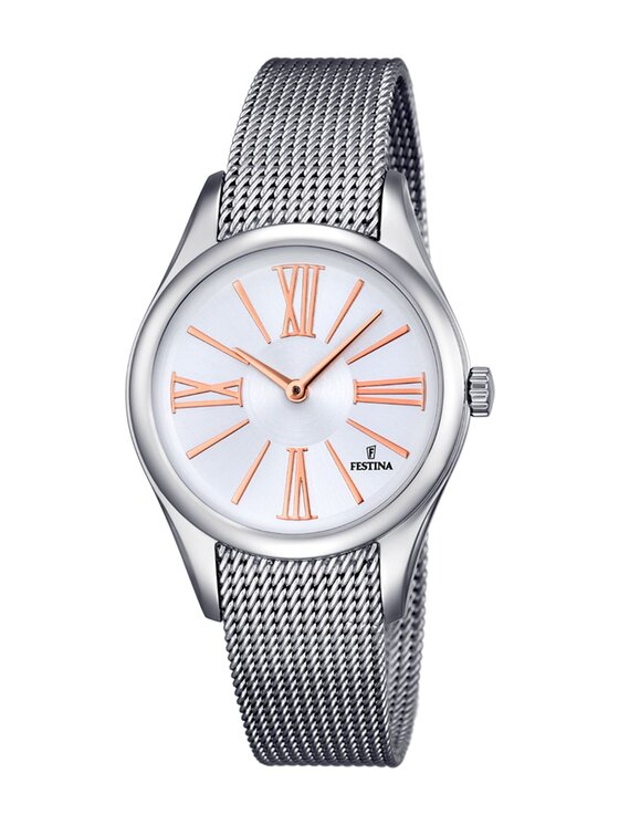 Festina Festina Zegarek 16962/1 Srebrny