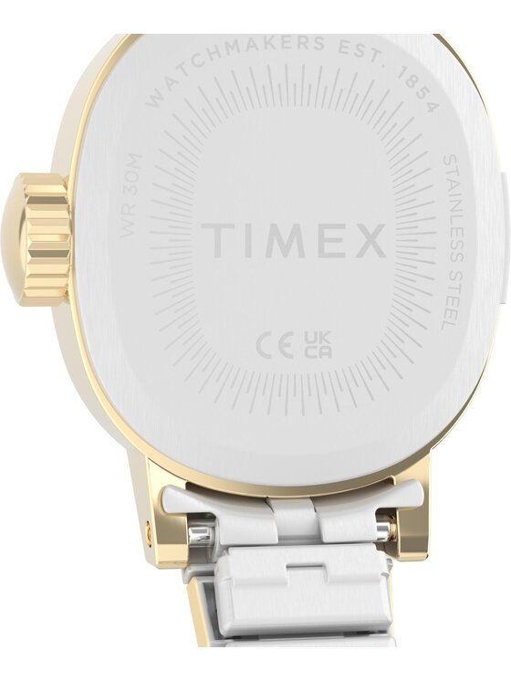 Timex Timex Hodinky TW2Y66900 Stříbrná