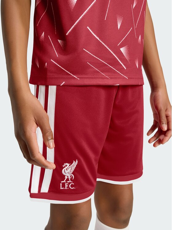 adidas adidas Szorty sportowe 169691 Czerwony Regular Fit