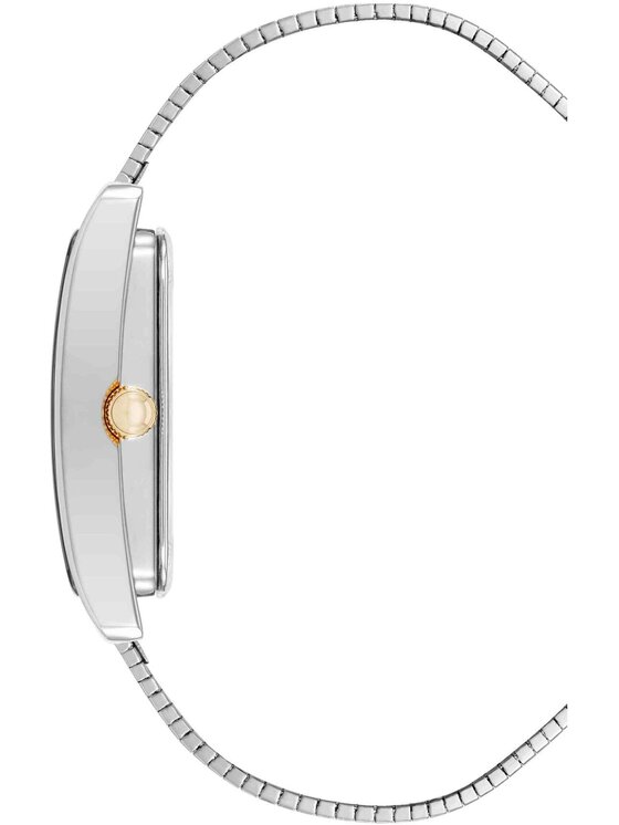 Anne Klein Anne Klein Zegarek AK-5241SVTT Srebrny