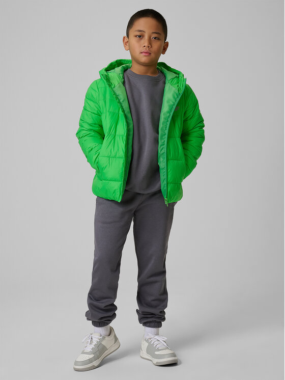 4F 4F Kurtka puchowa OUTERWEAR Zielony Regular Fit