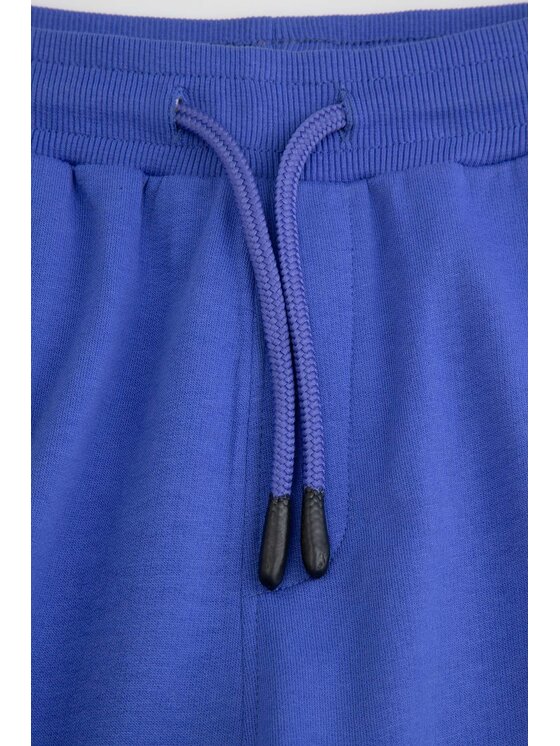 Coccodrillo Coccodrillo Šortky z materiálu WC6120502HBJ-014 Modrá Regular Fit