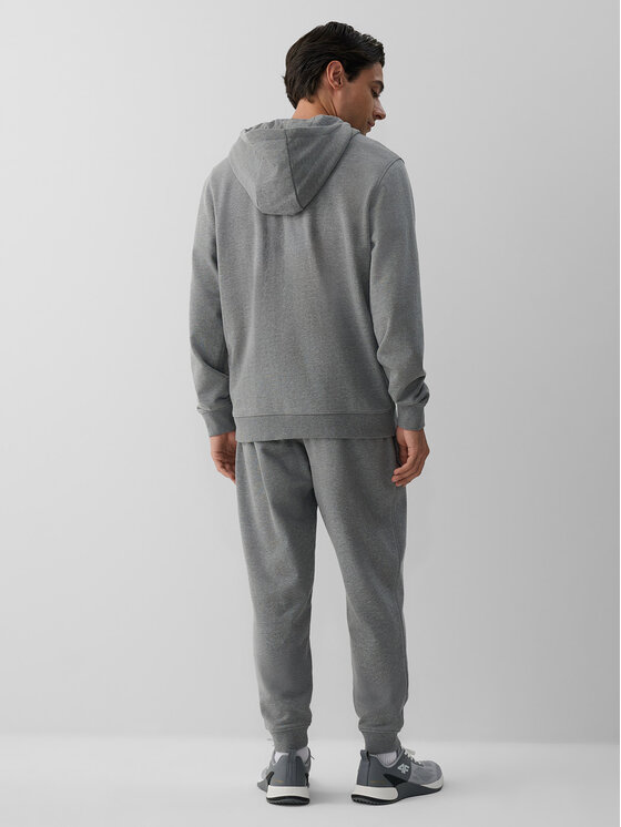 4F 4F Spodnie dresowe BASIC+ Szary Regular Fit