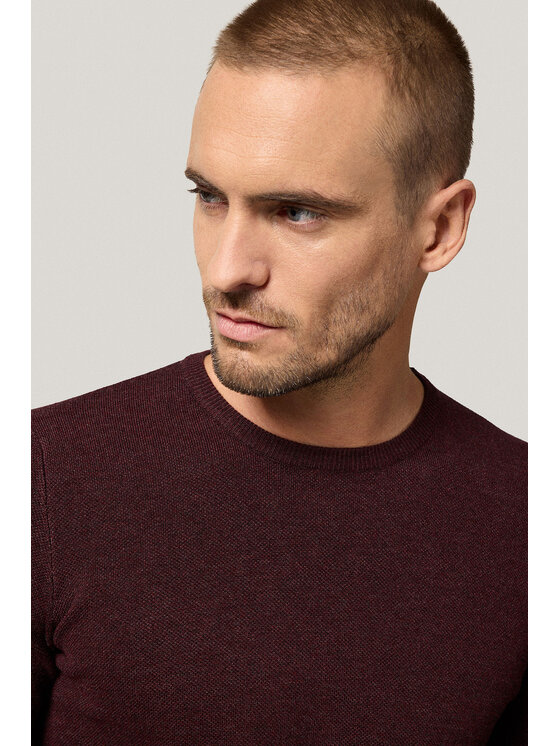 Próchnik Próchnik Sweter PM16 SW073225000066 Bordowy Regular Fit