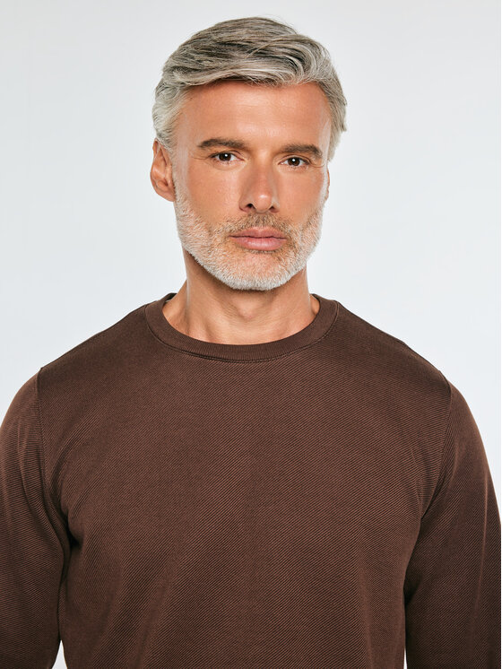 BIG STAR BIG STAR Bluza BREMEN Brązowy Basic Fit