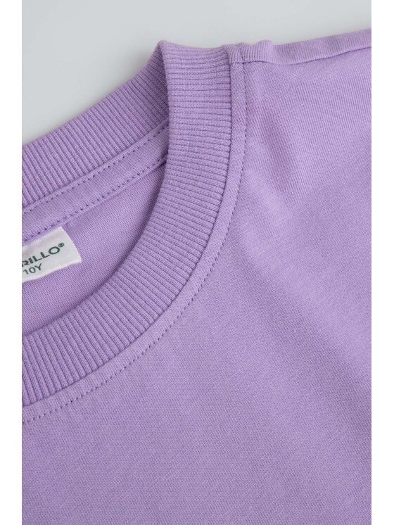 Coccodrillo Coccodrillo T-Shirt ZC6143202HGJ-022 Kolorowy Regular Fit