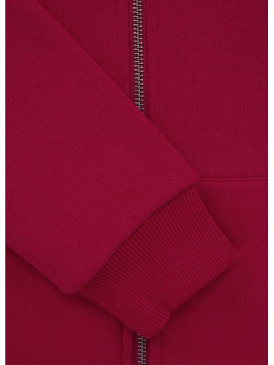 PITBULL PITBULL Bluza Hilltop Junior Bordowy Regular Fit