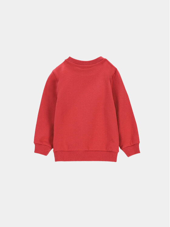 Coccodrillo Coccodrillo Felpa ZC3132101ATN Bordeaux Regular Fit