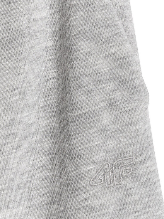 4F 4F Spodnie dresowe BASIC+ Szary Oversize