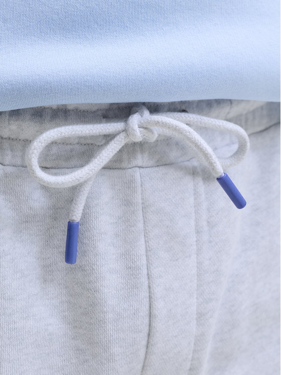 Jack & Jones Jack & Jones Спортни шорти Gordon College 12289726 Сив Regular Fit