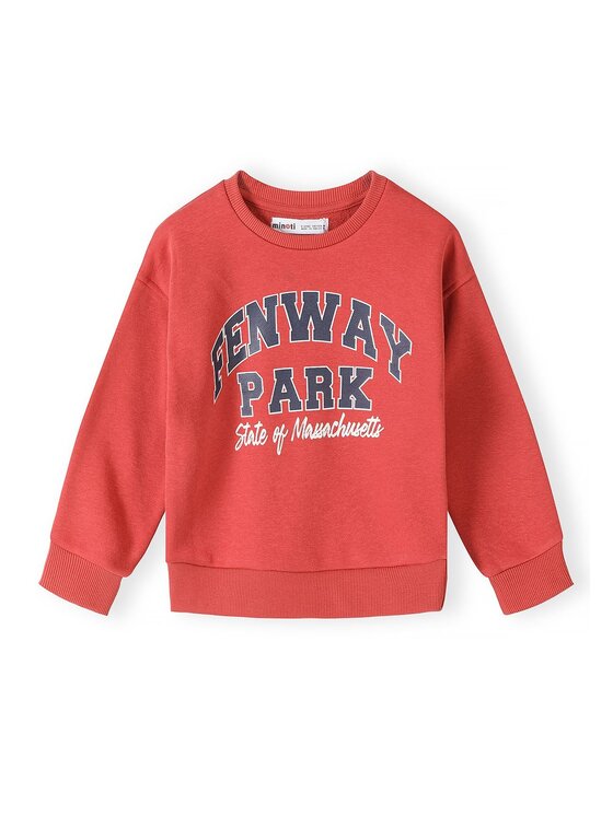 minoti minoti Bluza 33FLEECE201 Kolorowy Regular Fit